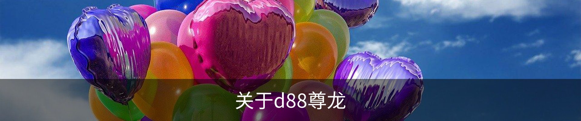 关于d88尊龙